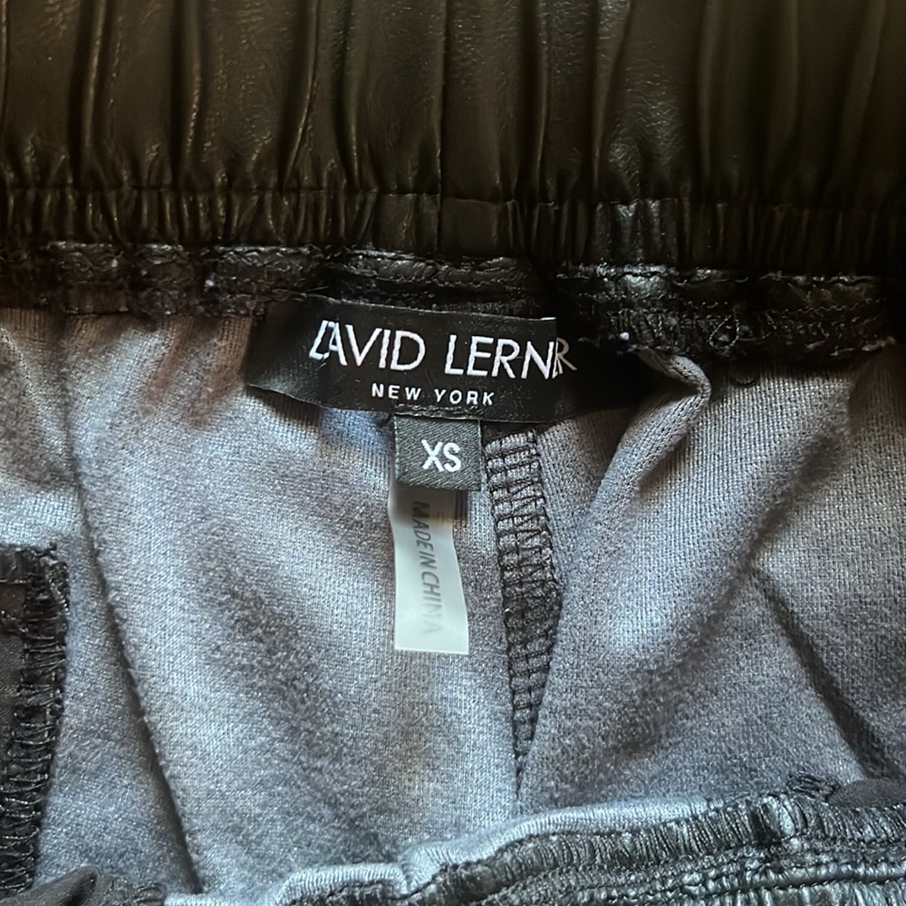 DAVID LERNER JOGGERS - Picture 10 of 15